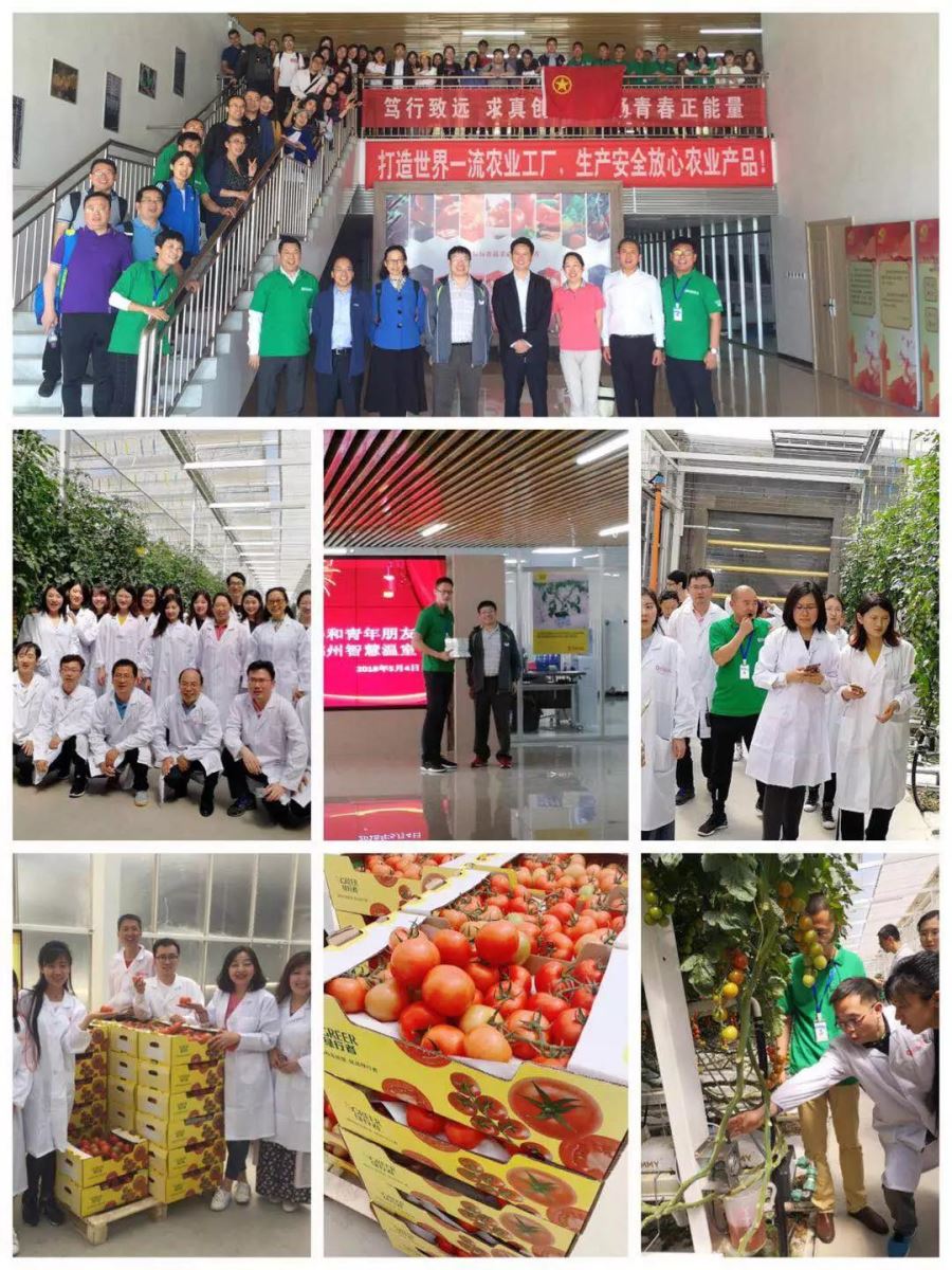 口袋德州官网-口袋德州APP下载