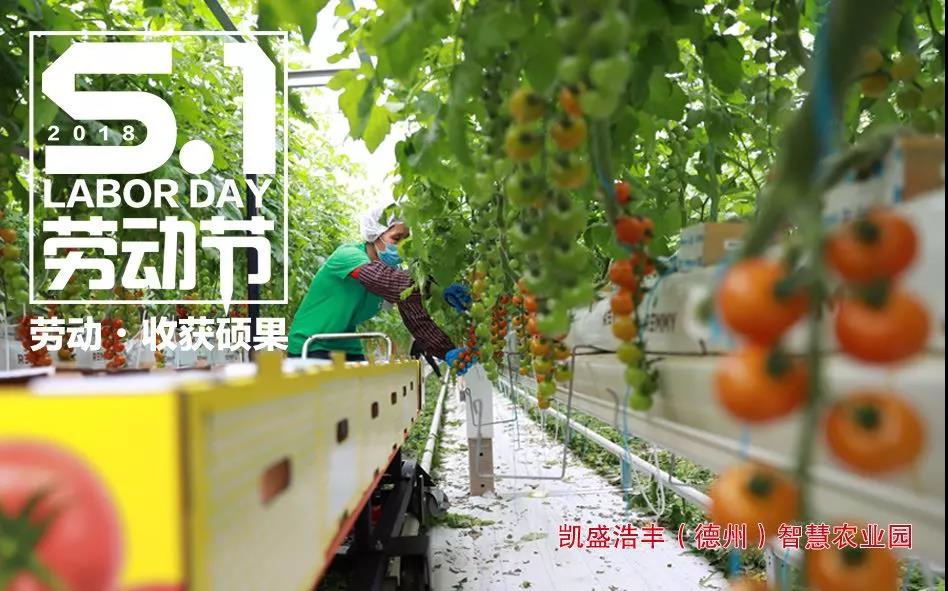 口袋德州官网-口袋德州APP下载