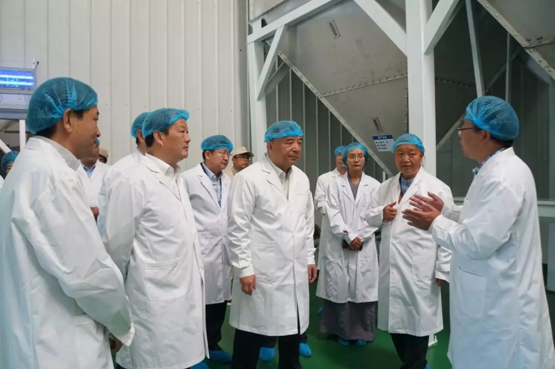 口袋德州官网-口袋德州APP下载