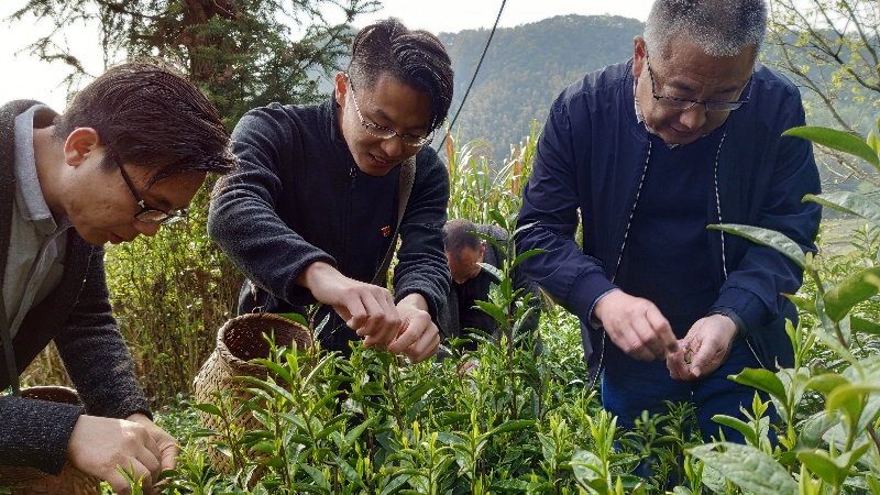 口袋德州官网-口袋德州APP下载