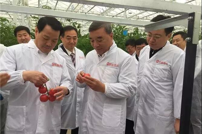 口袋德州官网-口袋德州APP下载