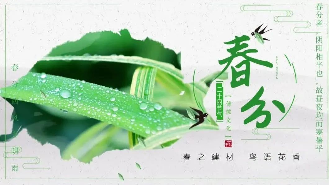 今日春分 | 春之建材，鸟语花香