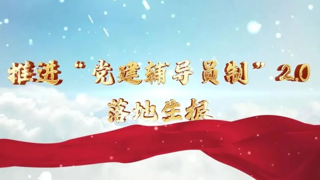  党建经营融合十佳案例④ | 西南水泥——“领导员造”+“进建型组织”，让党建成为看得见的“出产力” 