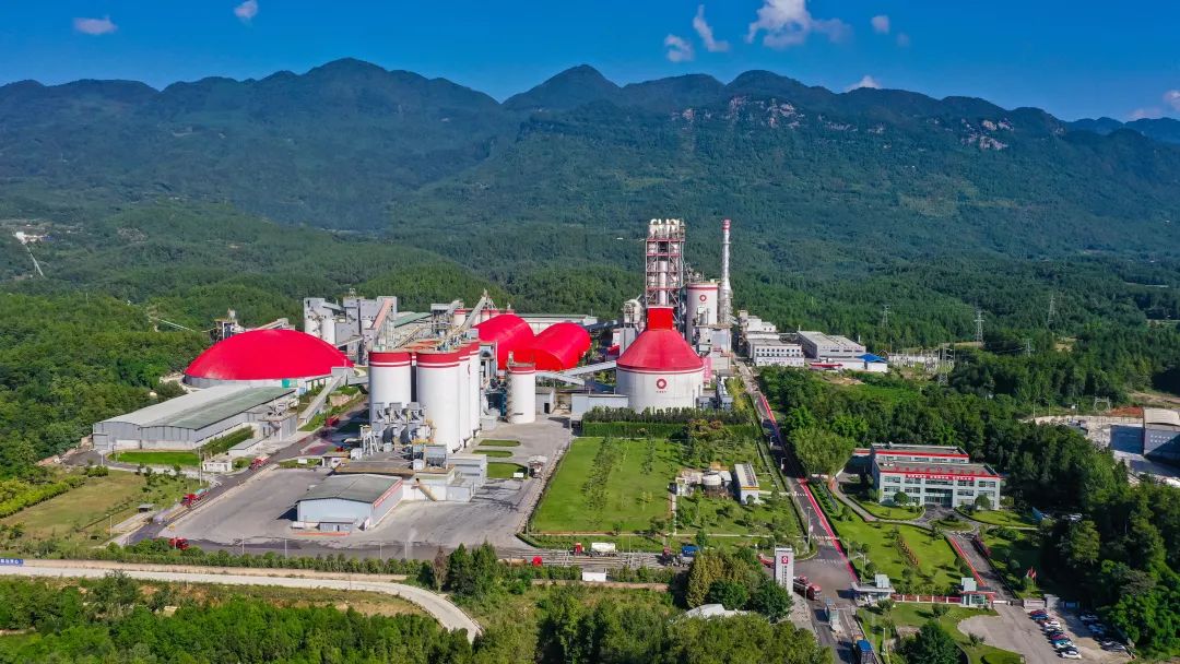 2025062609520119028
